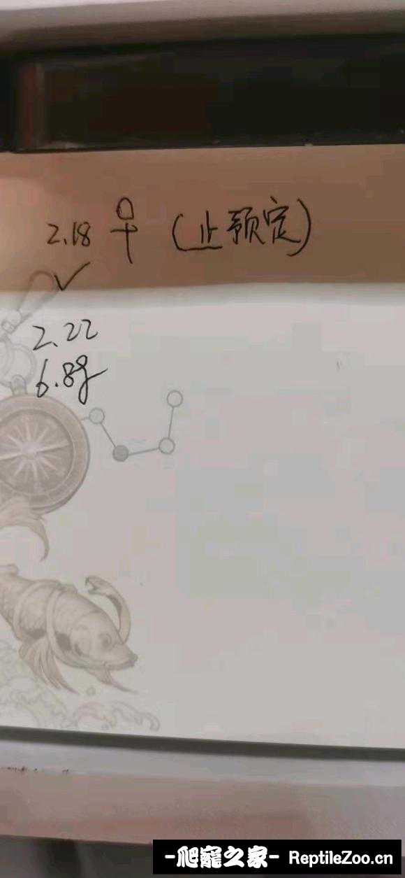 174008y8ell4deql1iinmb.jpg