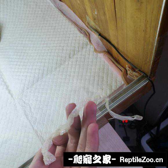 174011b11hyms8ruu8tbtr.jpg
