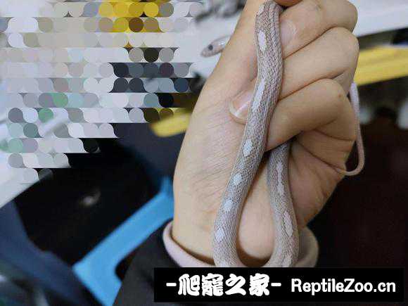 182037lnbp92u9yy5bzrrb.jpg