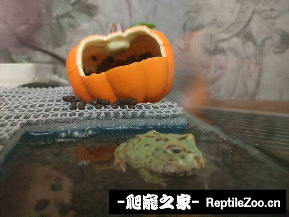 190051c0g679s0j0jr9sdf.jpg