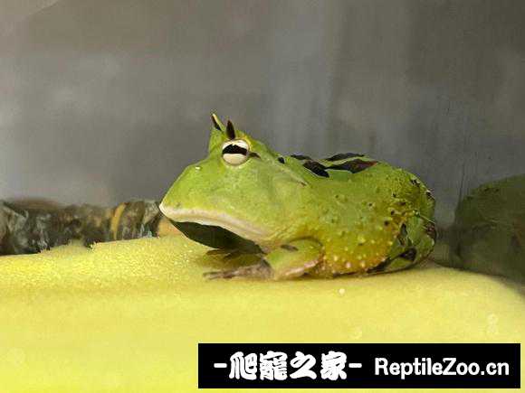 190507pecdl22heufk1zxz.jpg