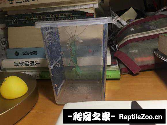 193051cxmiz4dmsmu83l6h.jpg
