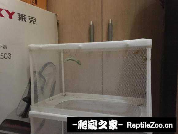 193057wc9n1m7cd9d31bn7.jpg