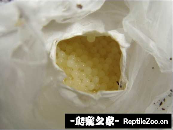 220527sj0cjxh60vzdztdj.jpg
