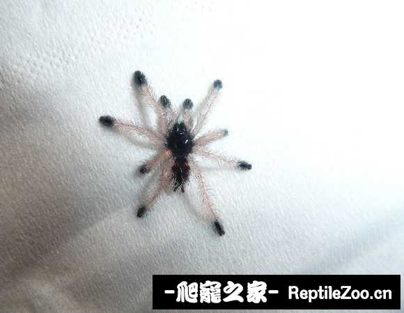 220528ujoapddic5ripqpe.jpg