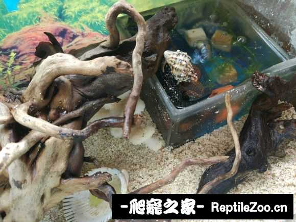 005721o86u8k12kwj6jw12.jpg