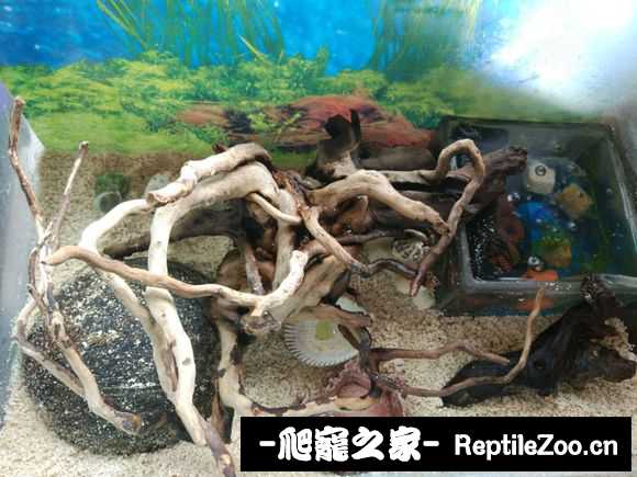 005721qhtirm9tmhpi85oi.jpg