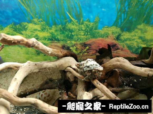 005722n5c73u5x7wp2q65n.jpg