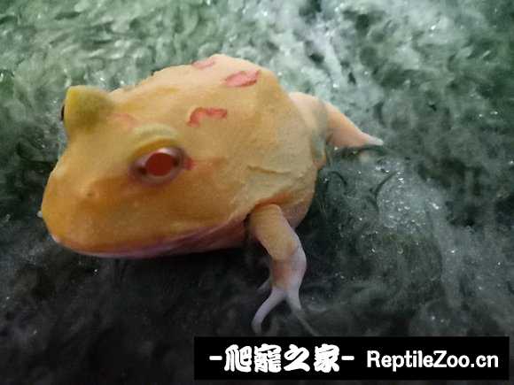 005955mjuddsqu715jd1d1.jpg