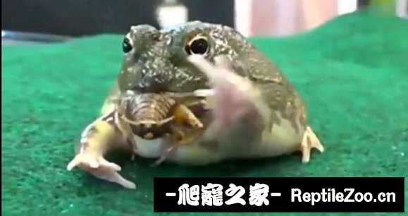 005955yr6zpeghhxewrovw.jpg