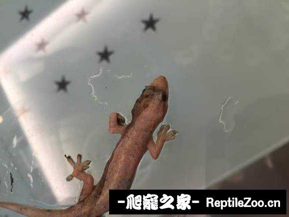 020148uitbprr38iq8ohip.jpg