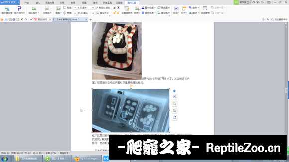 173843rhoqo02moo8rfi0m.jpg