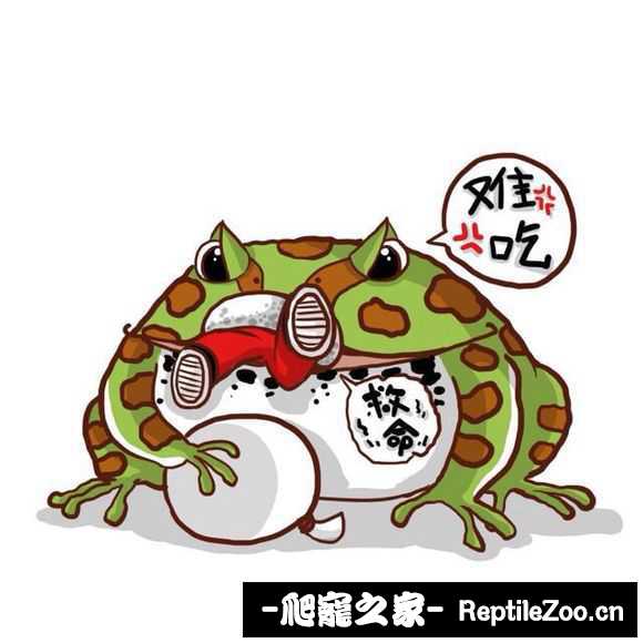 display_picture.php?url=http%3A%2F%2Fimgsa.baidu.com%2Fforum%2Fw%253D580%2Fsign%3D4d8e0d58a2ec08fa260013af69ef3d4d%2F2ef1b899a9014c08d48b8142087b020879f4f4ff.jpg