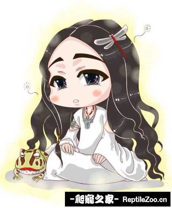 display_picture.php?url=http%3A%2F%2Fimgsa.baidu.com%2Fforum%2Fw%253D580%2Fsign%3D00d21b01257f9e2f70351d002f31e962%2F4d57b9014a90f603d2d435a03b12b31bb251edc3.jpg