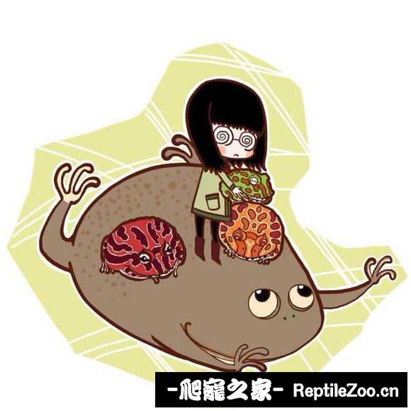 display_picture.php?url=http%3A%2F%2Fimgsa.baidu.com%2Fforum%2Fw%253D580%2Fsign%3Dfa7d48d037fae6cd0cb4ab693fb20f9e%2F115dd43f8794a4c210484ecc0cf41bd5af6e39c7.jpg