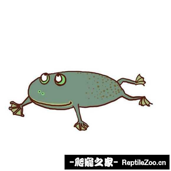 display_picture.php?url=http%3A%2F%2Fimgsa.baidu.com%2Fforum%2Fw%253D580%2Fsign%3D8c3b9dbb0e3387449cc52f74610ed937%2F922eb2fb43166d223555d67f442309f79152d215.jpg