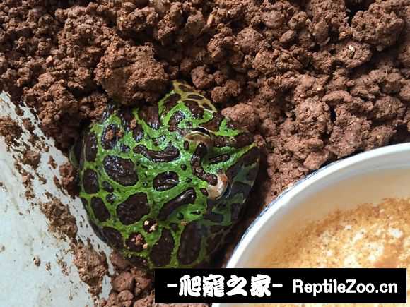 display_picture.php?url=http%3A%2F%2Fimgsa.baidu.com%2Fforum%2Fw%253D580%2Fsign%3Df06da3c496529822053339cbe7ca7b3b%2F6e398a13632762d0414d3bbca6ec08fa503dc69c.jpg