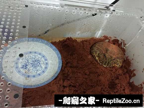 display_picture.php?url=http%3A%2F%2Fimgsa.baidu.com%2Fforum%2Fw%253D580%2Fsign%3D8bd9f3dd3b6d55fbc5c6762e5d224f40%2Fda400a7b02087bf4a79fc8eaf4d3572c10dfcf9c.jpg