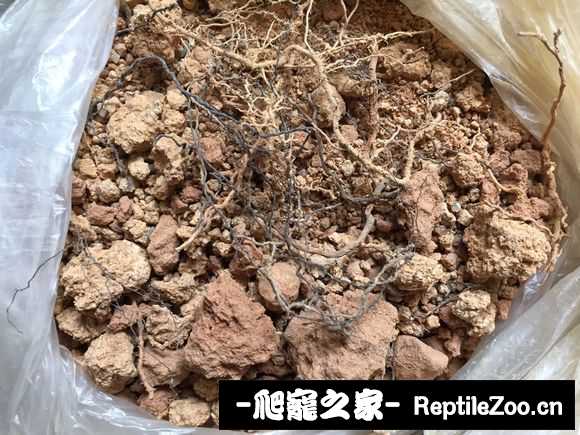display_picture.php?url=http%3A%2F%2Fimgsa.baidu.com%2Fforum%2Fw%253D580%2Fsign%3De5b518c845166d223877159c76230945%2Fbc210ad162d9f2d3e762bbecafec8a136227cc9c.jpg