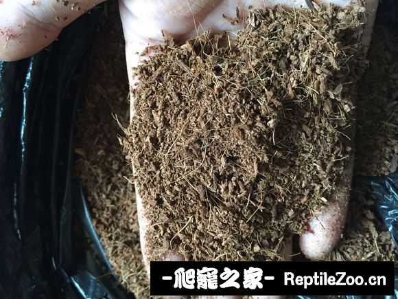 display_picture.php?url=http%3A%2F%2Fimgsa.baidu.com%2Fforum%2Fw%253D580%2Fsign%3D5f4d3bbca6ec08fa260013af69ee3d4d%2F2ef1b899a9014c08c648b7a60c7b02087af4f49c.jpg
