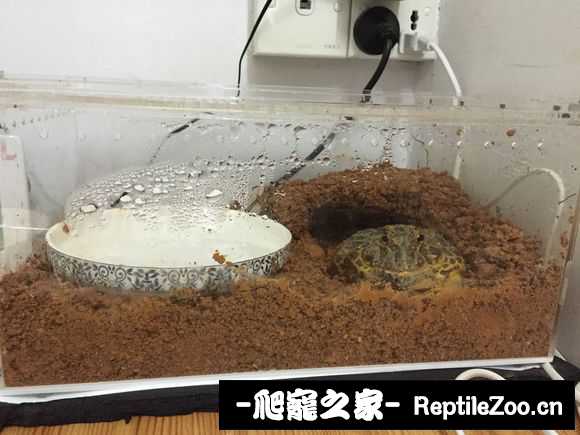 display_picture.php?url=http%3A%2F%2Fimgsa.baidu.com%2Fforum%2Fw%253D580%2Fsign%3Dbeb93a619e22720e7bcee2f24bcb0a3a%2F4dc6632762d0f70326c10adf0efa513d2797c59c.jpg