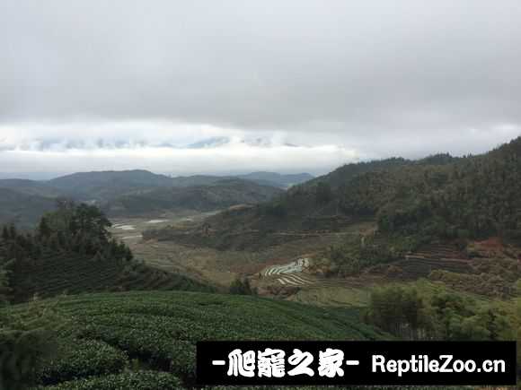 display_picture.php?url=http%3A%2F%2Fimgsa.baidu.com%2Fforum%2Fw%253D580%2Fsign%3D216cd83d0af3d7ca0cf63f7ec21fbe3c%2Fa505f703918fa0ecb1b4fb0e209759ee3c6ddb9c.jpg