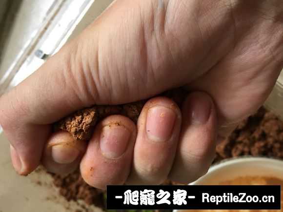 display_picture.php?url=http%3A%2F%2Fimgsa.baidu.com%2Fforum%2Fw%253D580%2Fsign%3Dfb048a97402309f7e76fad1a420e0c39%2F90f911dfa9ec8a13d769c8e3f103918fa1ecc09c.jpg