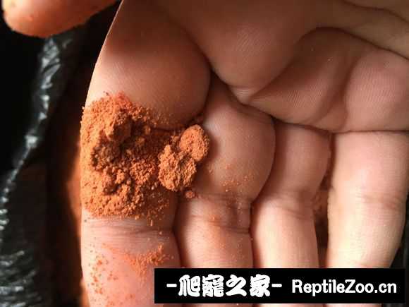 display_picture.php?url=http%3A%2F%2Fimgsa.baidu.com%2Fforum%2Fw%253D580%2Fsign%3Dfd738ca45fee3d6d22c687c373166d41%2Fa9d31d950a7b0208d7baa0e264d9f2d3562cc89c.jpg