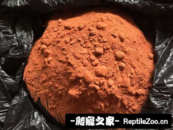 display_picture.php?url=http%3A%2F%2Fimgsa.baidu.com%2Fforum%2Fw%253D580%2Fsign%3D0aa2a2c9573d26972ed3085565fbb24f%2F6ed44c086e061d95a035a83b7df40ad163d9ca9c.jpg