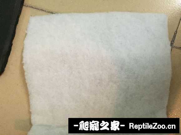 display_picture.php?url=http%3A%2F%2Fimgsa.baidu.com%2Fforum%2Fw%253D580%2Fsign%3D707597ac8018367aad897fd51e728b68%2F681679310a55b3192be0d8f045a98226cefc176b.jpg