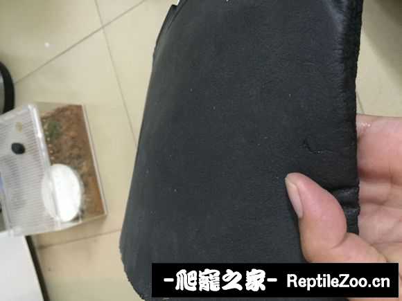 display_picture.php?url=http%3A%2F%2Fimgsa.baidu.com%2Fforum%2Fw%253D580%2Fsign%3Dcfa9c6c23f12b31bc76ccd21b6193674%2F6cb1034f78f0f73613e716840c55b319eac4136b.jpg