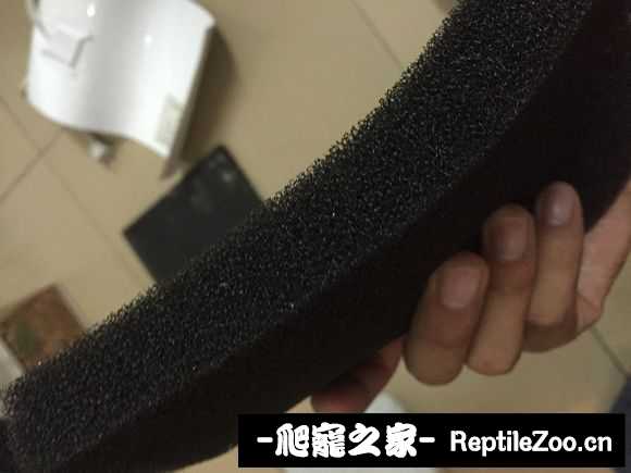 display_picture.php?url=http%3A%2F%2Fimgsa.baidu.com%2Fforum%2Fw%253D580%2Fsign%3D8fc941c68dd4b31cf03c94b3b7d7276f%2F709043a98226cffcdb33e537bf014a90f703ea74.jpg