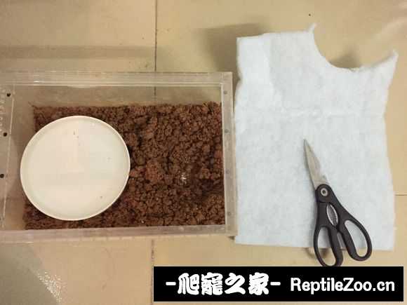 display_picture.php?url=http%3A%2F%2Fimgsa.baidu.com%2Fforum%2Fw%253D580%2Fsign%3D393de9ad307adab43dd01b4bbbd5b36b%2Fbee40a55b319ebc476612c1c8426cffc1f17166b.jpg