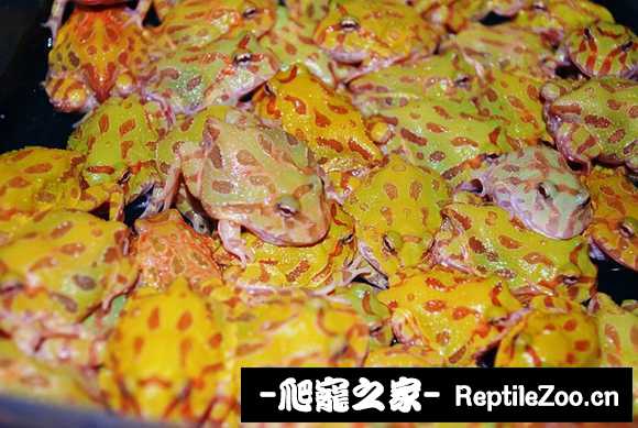 display_picture.php?url=http%3A%2F%2Fimgsa.baidu.com%2Fforum%2Fw%253D580%2Fsign%3D05121f7c4afbfbeddc59367748f1f78e%2Fcef1ab18972bd4076a475dbe7a899e510db309c2.jpg