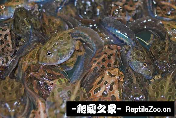 display_picture.php?url=http%3A%2F%2Fimgsa.baidu.com%2Fforum%2Fw%253D580%2Fsign%3Df93847709345d688a302b2ac94c37dab%2F161da786c9177f3e5dcc724e71cf3bc79d3d56ca.jpg