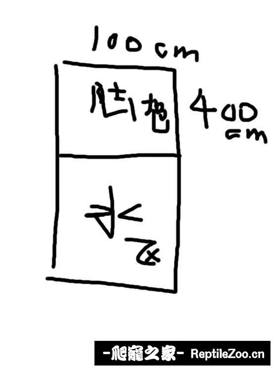 110138dnaao2q3xkwntx8z.jpeg