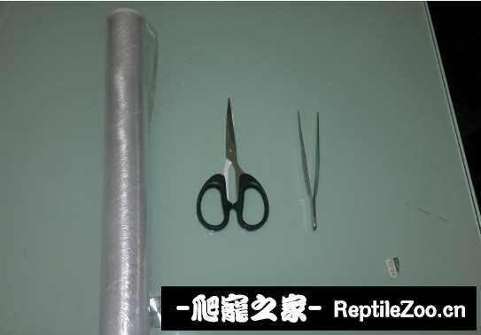 230548l3ito0tcfrfzzjrz.jpg