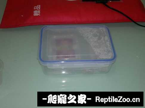 230551ok1u0oy1kk1u030q.jpg