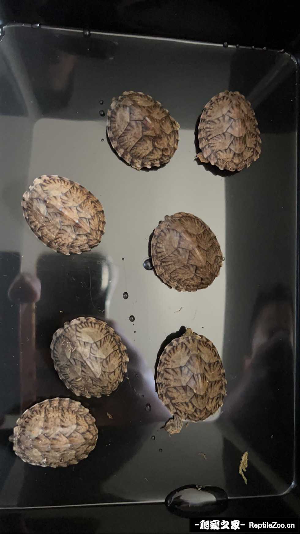 135521f9urzwqrw5wkwd22.jpeg