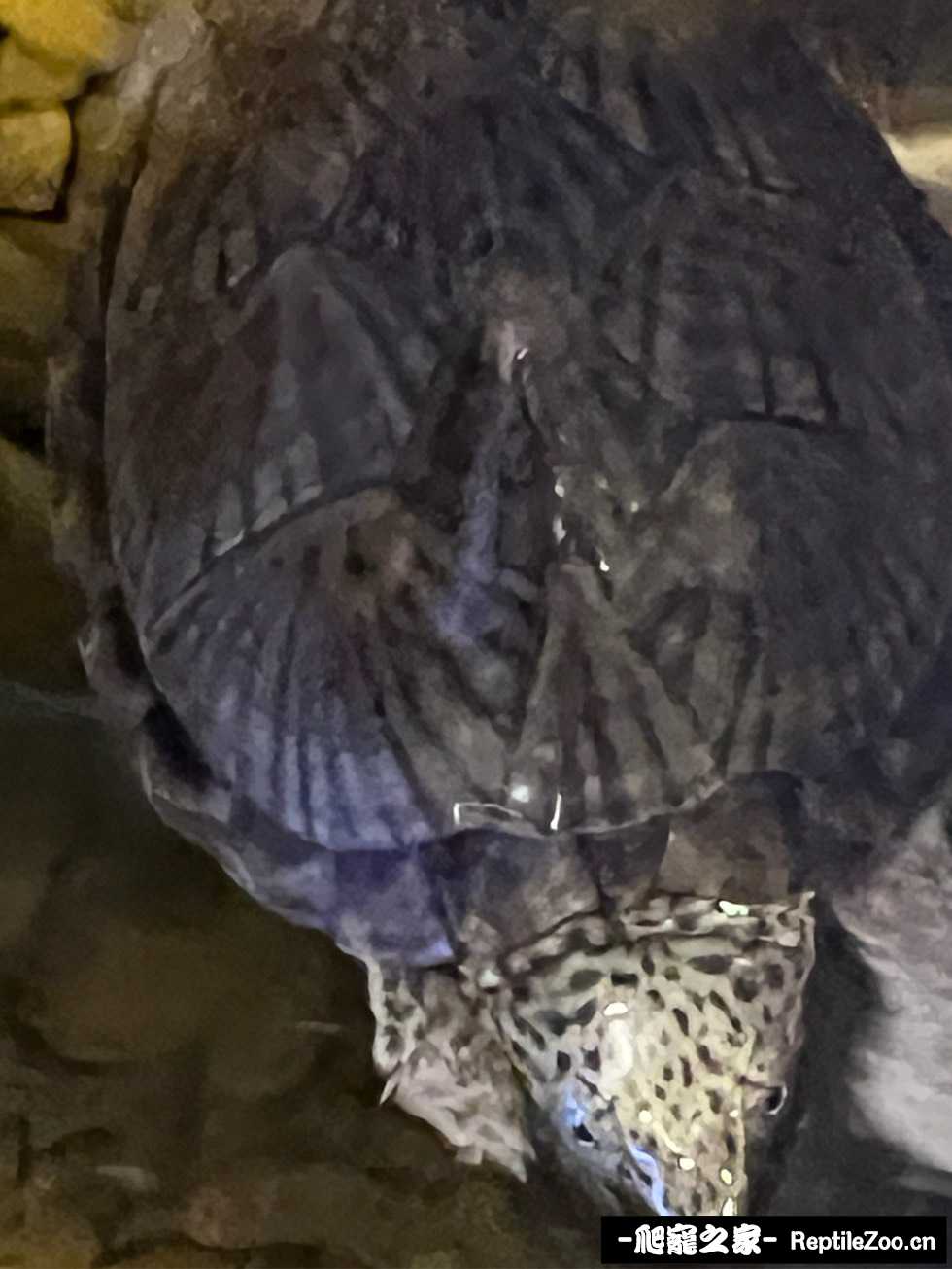 135522wohrlaoa4l87he4o.jpeg