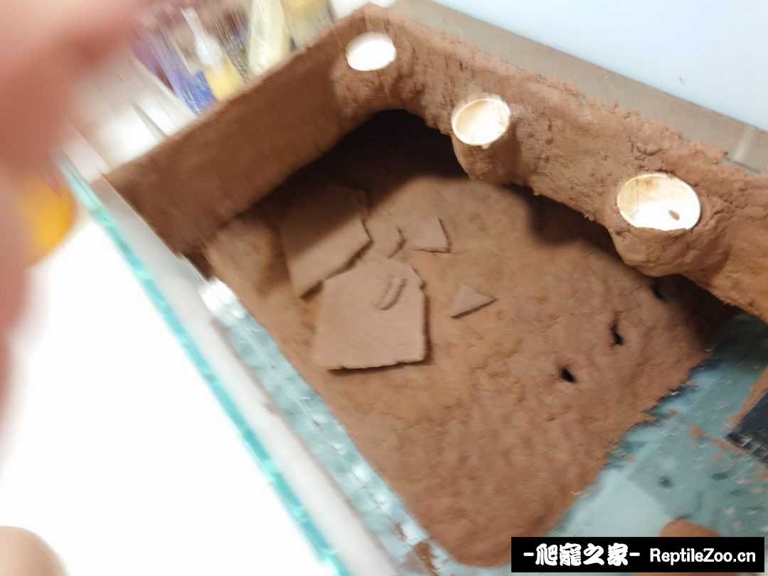 001116cnrzg9n9ccriurcd.jpeg