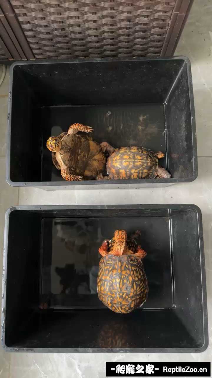 131024hko7kk77n7eku717.jpeg