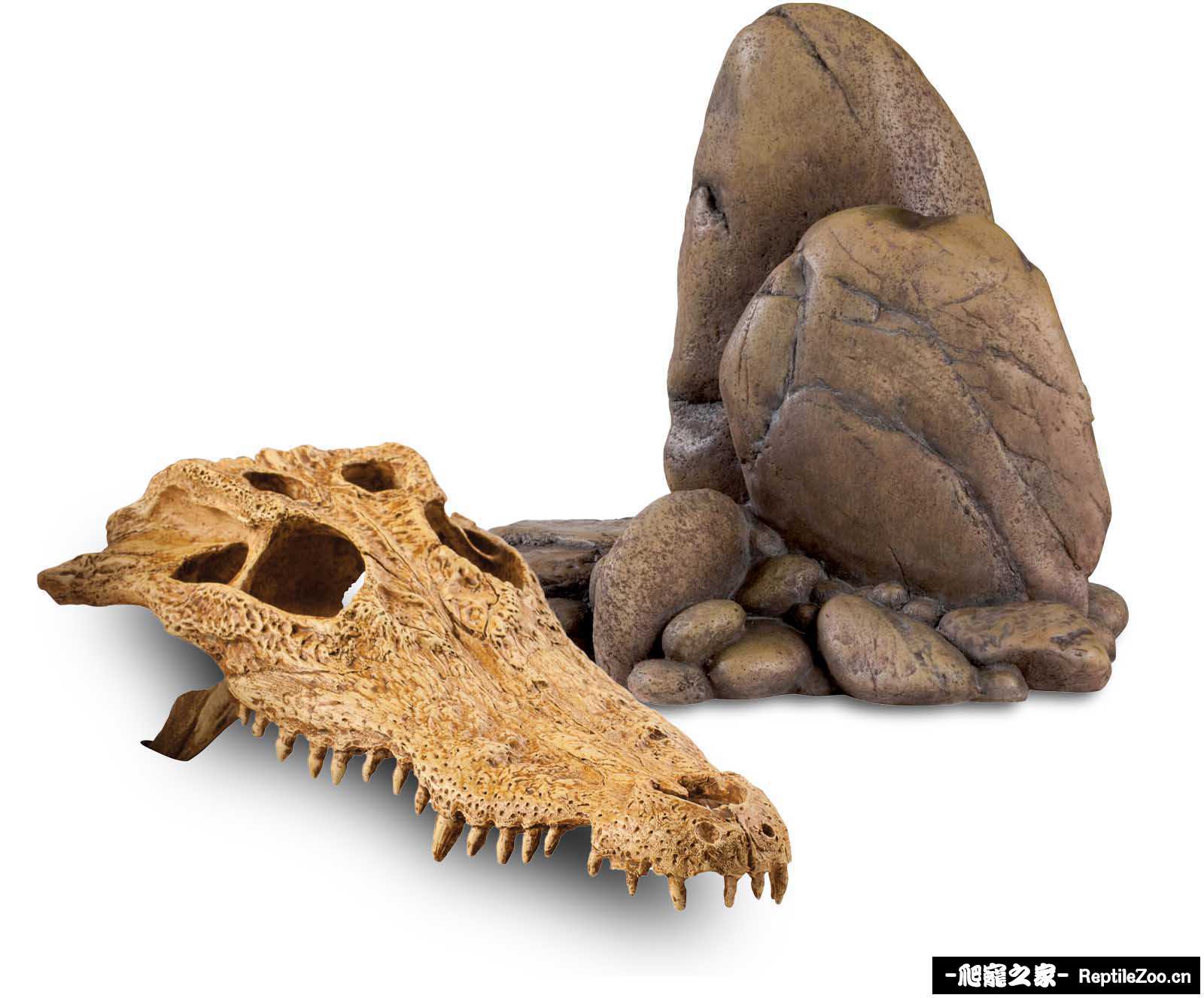 decor_timeline.jpg